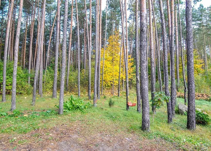 Homestay Juozo Namas